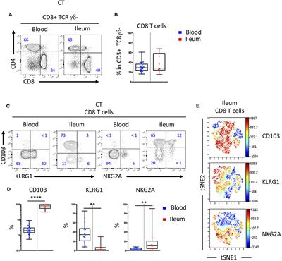 KLRG1 and CD103 Expressions Define Distinct Intestinal Tissue-Resident Memory CD8 T Cell Subsets Modulated in Crohn's Disease